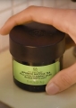 Japanese Matcha Tea Pollution Clearing Mask 