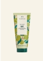 Olive Body Lotion
