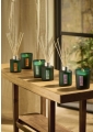 Breathe Eucalyptus & Rosemary Renewing Fragrance Diffuser
