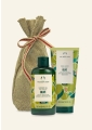 Olive Shower Gel & Body Lotion Duo